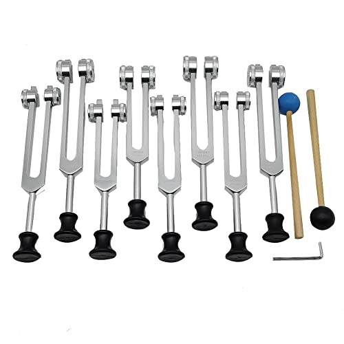 Kliplinc Stimmgabel-Set f¨¹r Heilung, Klangtherapie (126,22 Hz, 136,1 Hz, 141,27 Hz, 172,06 Hz, 194,18 Hz, 210,42 Hz, 221,23 Hz) Silber