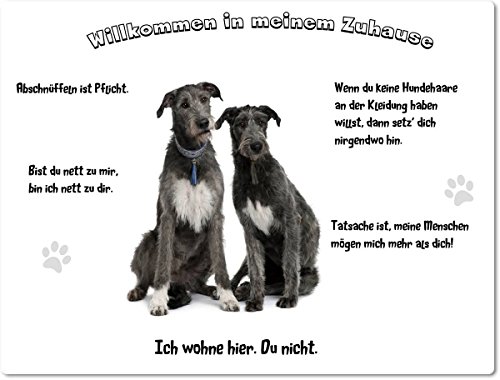 Merchandise for Fans Blechschild/Warnschild/Türschild - Aluminium - 30x40cm - - Willkommen in Meinem Zuhause - Motiv: Irischer Wolfshund Zwei Tiere sitzend - 01