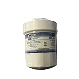 GENERAL ELECTRIC - mwf02 interner Wasserfilter für Kühlschrank amerikanischen