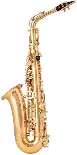EB Altsaxophon Messing Goldlack Musikinstrument E-Flat Saxophon Einsteiger-Set