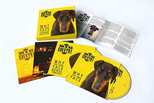 Why the Long Face (4cd Deluxe Expanded Box Set)