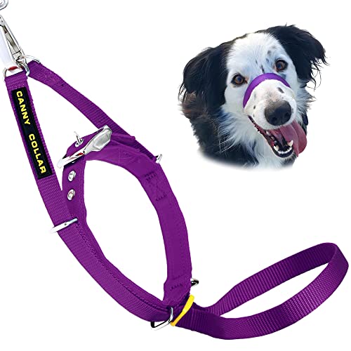 Canny Collar Halsband für Hunde, einfache und effektive Hilfe beim Hundetraining und verhindert das Ziehen von Hunden - Lila