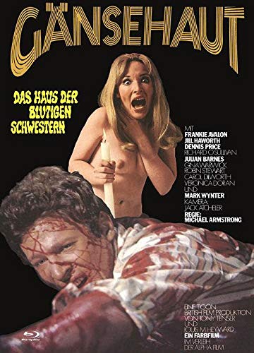 Gänsehaut - Das Haus der blutigen Schwestern - Gänsehaut - The Haunted House of Horror - Mediabook - Cover B - Limited Edition auf 222 Exemplare - X-Rated-Eurocult-Collection #64 (+ DVD) [Blu-ray]