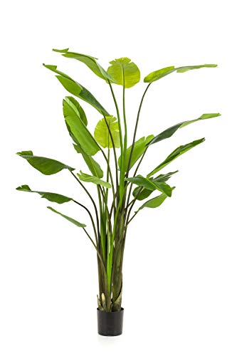 artplants.de Strelitzie künstlich BEDAR, grün, 235cm - Strelitzie Seidenpflanze/Kunstpflanze Paradiesvogelblume
