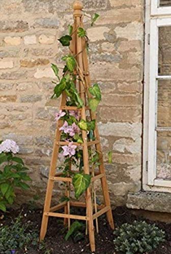 garden mile Großer Gartenbogen, Obelisk oder Bogen, für den Außenbereich, robust, für Rosen, Kletterpflanzen, Stützstruktur, Gartendekoration, Ornamente (Obelisk Tan, 1,5 m)
