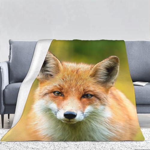 3D Fuchs Kuscheldecke Flauschig Flanell Tier Decken Wohndecke Flanelldecke Sofadecke Couchdecke Geschenke für Kinder Erwachsener Decke 180x200cm
