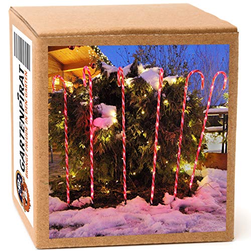 GARTENPIRAT 6x Zuckerstangen beleuchtet 60 LED außen, Weihnachtsbeleuchtung Deko 100 cm