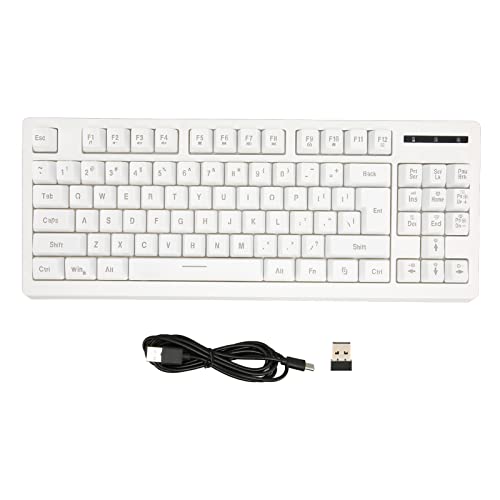 Goshyda Kabellose 2,4-G-Tastatur, 87 Tasten, 6 Schillernde RGB-Hintergrundbeleuchtung, Unterstützt die Sperrfunktion von Win, USB2.0-Schnittstelle, Dünnschichttastatur für Win XP 7 8 10 (Weiß)