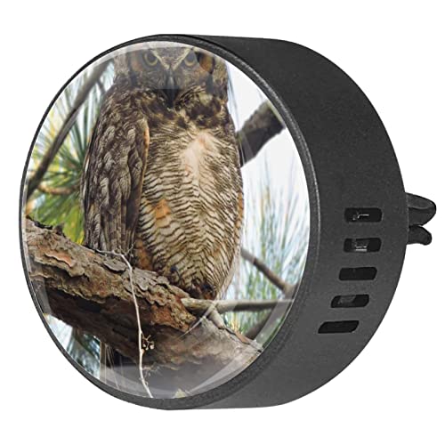 Quniao Great Horned Owl 2PCS Custom Car Aromatherapy Air Freshener Diffuser Car Fragrance Diffuser Locket Car Diffuser Vent Clip Apply for Car, Office, Kitchen
