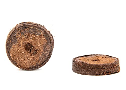 FLORTUS Kokos Quelltabletten mit NPK Dünger | 1500 Stück (36 mm) Quelltabs aus Anzuchterde torffrei | Kokoserde für Pflanzen | Quelltabletten Anzucht | Anzuchterde aus Kokosfaser | Pflanzen Anzucht