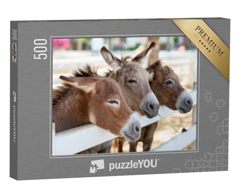 puzzleYOU: Puzzle 500 Teile „DREI neugierige Esel am Zaun“