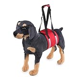Dog Lift Harness,Pet Support & Rehabilitation Sling Lift Adjustable Padded Breathable Straps for Old,Disabled,Loss of Stability Dogs Walk (Color : Red, Size : L)