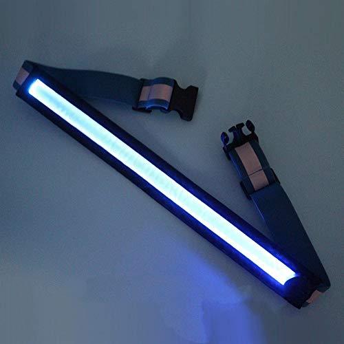 ZANGAO LED Kummet Bridle Halter Multifunktions Visibility Polyester Nachtreiten REIT Sicherheits-Gang mit USB-Lade (Color : Blue)