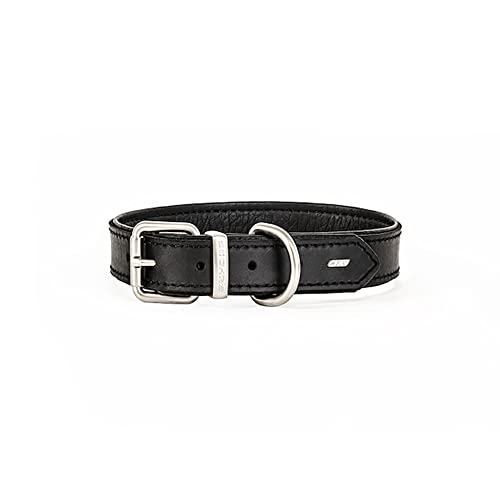 EzyDog Oxford Hundehalsband Leder- Premium Lederhalsband - Hunde Halsband für Kleine und Große Hunde, Naturleder, Verstellbares, Gepolstertes (S, Schwarz)