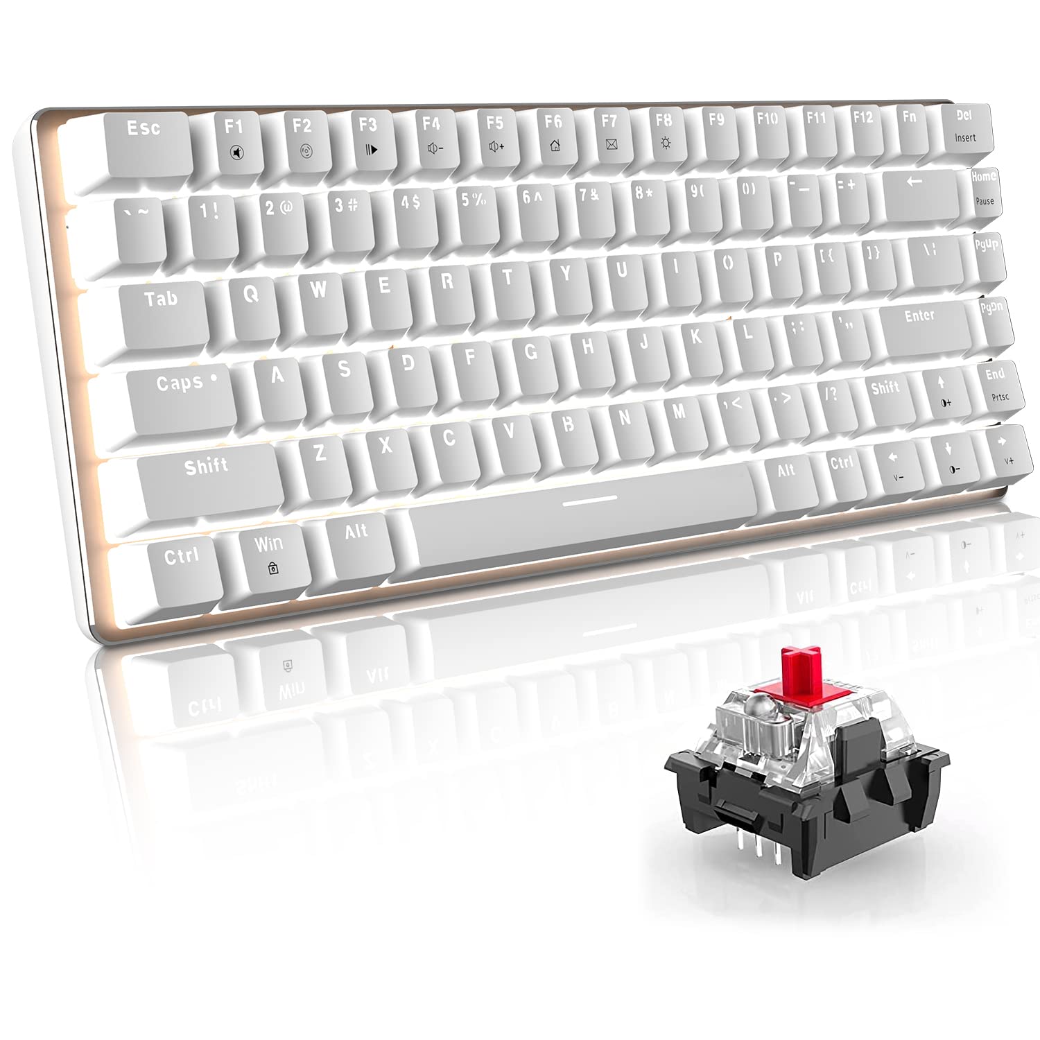 60% Mechanische Gaming-Tastatur Hot Swapable-Taste 82 Keys Kabelgebundene Typ-C Kompakte Tastatur mit weißem LED-Hintergrundbeleuchtung, ergonomisches Design für Gamer/Typisten (roter Schalter, weiß)