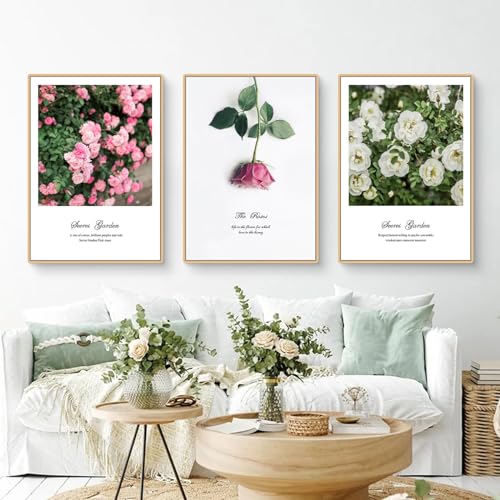 EXQUILEG 3er Set Poster, Ohne Rahmen Leinwandbilder, Blumen Pflanze Modern Wandbilder Kunstposter, Einfacher Stil Wanddeko für Schlafzimmer und Wohnzimmer (50x70cm)