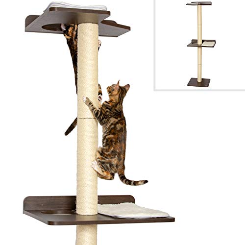PetFusion Kratzbaum für Katzen, 61 x 52,8 x 195,1 cm (L x H), modernes Design, zur Wandmontage, Espresso-Finish
