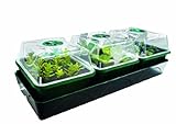 Bio Green Pflanzen-Anzucht-Set „Hollandia“ für die Fensterbank | 3 Separate Klimakammern | integrierte Heizung mit 12,5 Watt | Kapillar-Bewässerungsmatte | 1,4 l Wassertank | B 54 x T 21 x H 17 cm