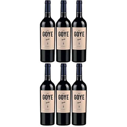 Goyenechea Syrah GOYE Rotwein Wein trocken Argentinien I FeinWert Paket (6 x 0,75l)