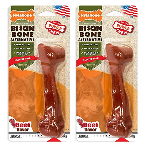 Nylabone 2 Stück Power Chew Bison Bone Alternativen, riesiges Nylon-Hundespielzeug