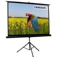 Celexon Economy tripod screen - Projektionsbildschirm mit Stativ - 265 cm (104 ) - 4:3 (1090020)
