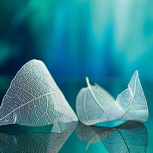 Eurographics White Leaves 30x30, Glas, Blau, 30 x 30 x 2 cm