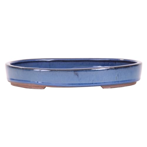 Bonsai - Schale, Waldschale, oval 25 x 18 x 4 cm blau 51008