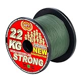 WFT KG Strong 600m 0,25mm 39kg, geflochtene Schnur, Meeresschnur, Angelschnur, Geflechtschnur, Farbe:Grün