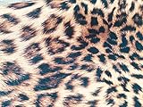 LushFabric Leopard Animal Print Stoff Panther Fell Baumwolle Material – Animal Druck Leinwand für Polstermöbel, Vorhängen, Kleid (Weinlaub 280cm Extra Breit, Meterware)