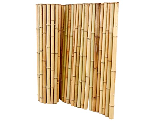 Bambusmatte Rollzaun Bali Big mit 100x200cm aus Moso Bambusstäben 3,5 bis 5cm naturbelassen - Bambus Sichtschutz aus Bambusrohren 1m x 2m