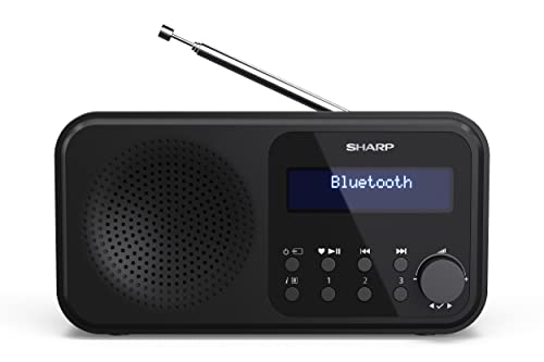 SHARP DR-P420 (BK) tragbares Digital-Radio Tokyo (DAB/DAB+/FM mit RDS, Bluetooth, USB- oder batteriebetrieben), Schwarz