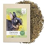 Löwenzahn Samen für Kaninchen - Wildkräuter Saatgut als optimale Futterergänzung für Kaninchen, Meerschweinchen und Schildkröten (100.000 Samen)