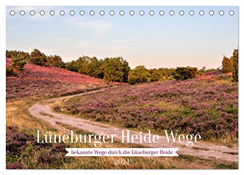 Lüneburger Heide Wege (Tischkalender 2024 DIN A5 quer), CALVENDO Monatskalender