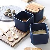 Aintap Keramik-Gewürzdosen-Set – stilvolle Blaue Gewürzbehälter mit Deckel, Löffel und Tablett – praktische Gewürzaufbewahrungslösung für Zuhause und Küche