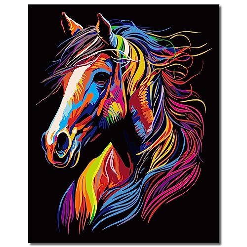 Heimstory Malen nach Zahlen mit Rahmen Pferde Tiere Erwachsene Kinder Jugendliche Leinwand Pinsel Acrylfarben Keilrahmen (Carmen)