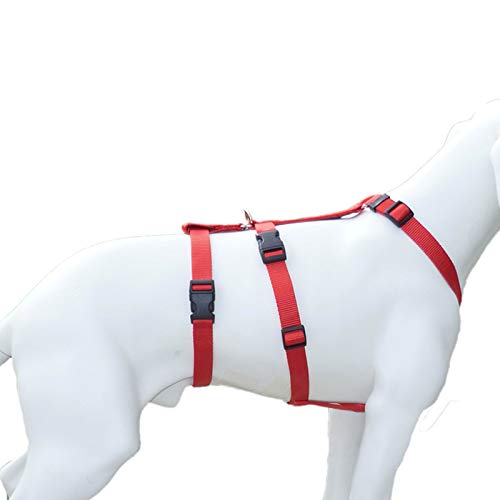 Hoffmann Das Original - NoExit Hundegeschirr ® - 100% ausbruchsicher für Angsthunde, Unifarben Rot, Bauchumfang 55-75 cm, Panikgeschirr, Sicherheitsgeschirr für Pflegehund, 20 mm Bandbreite