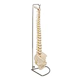 Anatomisches Skelett | Flexible Wirbelsäule mit Bandscheibenvorfall, Arterien und Ästen der Spinalnerven | mit Chrom Stativ | Anatomie Modell | Lehrmittel