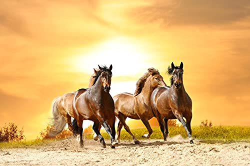 PAPERMOON Fototapete »Horses Run in Sunset«, Vlies, in verschiedenen Größen