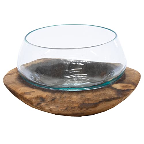 colourliving Dekoschale Dekoglas Glas auf Wurzelholz Vase 20 cm Snackschale Bonboniere Windlicht