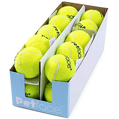 Petface Tennisbälle, Werfen und Apportieren, Hundespielzeug, 6,5 cm, 1 Packung mit 20 Bällen
