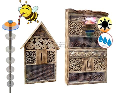 2X Lotus Bienenhotel, Premium Insektenhotel MIT BIENENTRÄNKE,XXL Bienenstock & Bienenfutterstation für Wildbienen, Hummeln Schmetterlinge Nistkasten GEFLAMMT geflammt