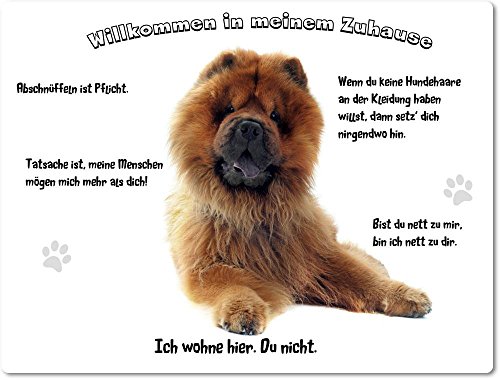 Merchandise for Fans Blechschild/Warnschild/Türschild - Aluminium - 30x40cm - - Willkommen in Meinem Zuhause - Motiv: Chow Chow - 02