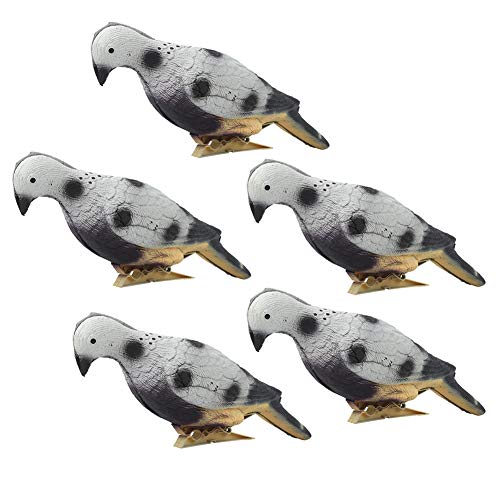 5pcs 3D Pigeon Decoy lebensechter Schaum Tierköder Ziel Dekoration Schießziele lebensechtes Schaumbogenschießen