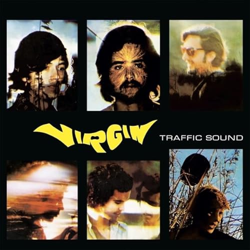 Virgin [Vinyl LP]