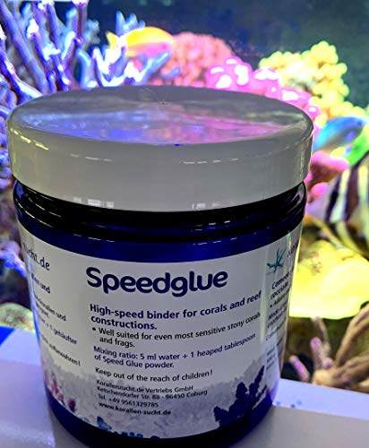 Korallenzucht.de Speedglue - Kleber für Korallen und Riffaufbau, Stark Haftend, 1er Pack (1 x 500 g)