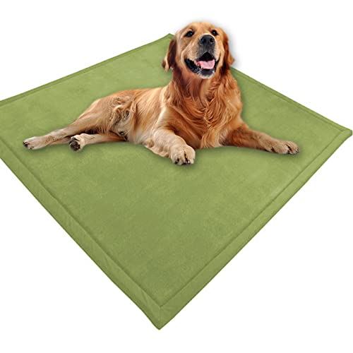 Großes Hundebett, Haustiermatte, weicher warmer Korallensamt, rutschfester Teppich, beruhigend, für den Innenbereich, waschbar, 150 x 90 cm, Grün