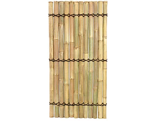 Sichtschutzzaun Bambuszaun Apas5 gelblich mit 180 x 90cm - Bambus Sichtschutzwand aus dicken Bambusrohren 1,8m x 0,9m von Bambus-Discount