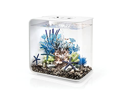 biOrb by OASE Aquarium "FLOW 30 MCR; 72036/35", 30 Liter, BxTxH: 30x20,8x31,5 cm, verschiedene Farben
