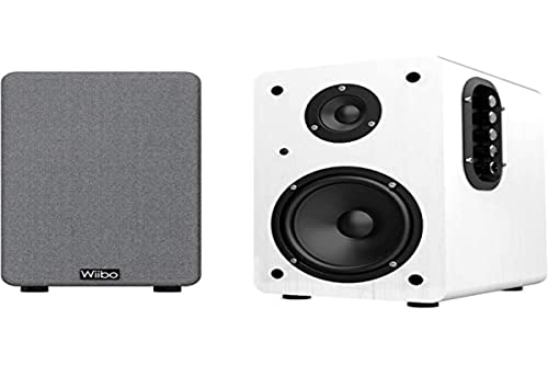 WIIBO - Neo 100 - Tragbare Bluetooth-Lautsprecher Vintage - Intelligente HiFi-Lautsprecher - Regallautsprecher - Leistung 100 W - 250 mm x 180 mm x 300 mm - Weiß