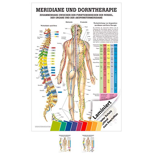 Meridiane u. Dorn Lehrtafel Anatomie 100x70 cm medizinische Lehrmittel